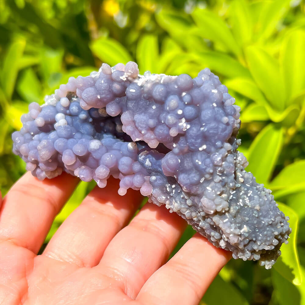 Natural Grape Agate Specimen - MagicCrystals - Natural Grape Agate cluster.  Genuine Grape Agate