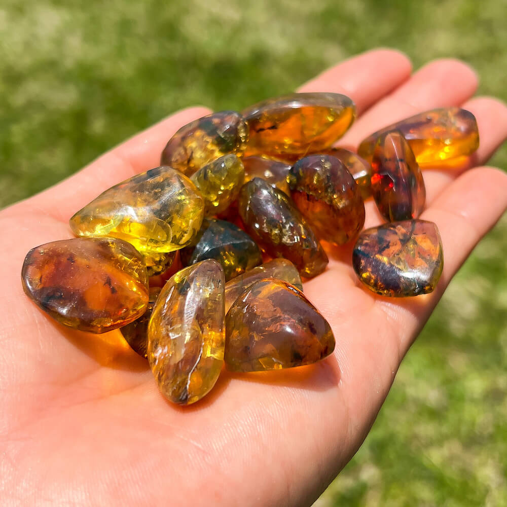 Looking for a Rich Natural Mexican Amber? Shop at Magic Crystals for  Natural Mayan Amber from Chiapas Mexico. Amber is fossilized tree resin that frequently contains inclusions such as plant matter, fungi, and insects found in marine shale sediment. Jewelry Supply or Collection Pieces. FREE SHIPPING available