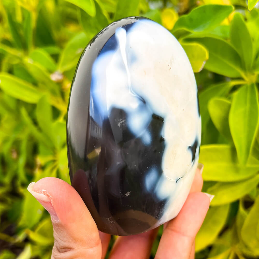 Looking for Large Orca Agate stones? Shop at our crystal shop for genuine Orca Agate Freeform - Polished Orca Agate Carving, Orca Agate at Magic Crystals. Natural Orca Agate is a powerful reminder of the ageless spirit by raising the vibration of the physical vehicle. FREE SHIPPING. Orca-Agate-Freeform-B