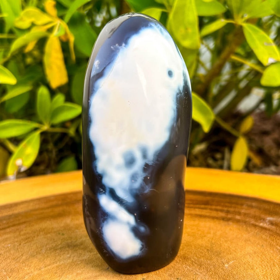 Looking for Large Orca Agate stones? Shop at our crystal shop for genuine Orca Agate Freeform - Polished Orca Agate Carving, Orca Agate at Magic Crystals. Natural Orca Agate is a powerful reminder of the ageless spirit by raising the vibration of the physical vehicle. FREE SHIPPING. Orca-Agate-Freeform-D