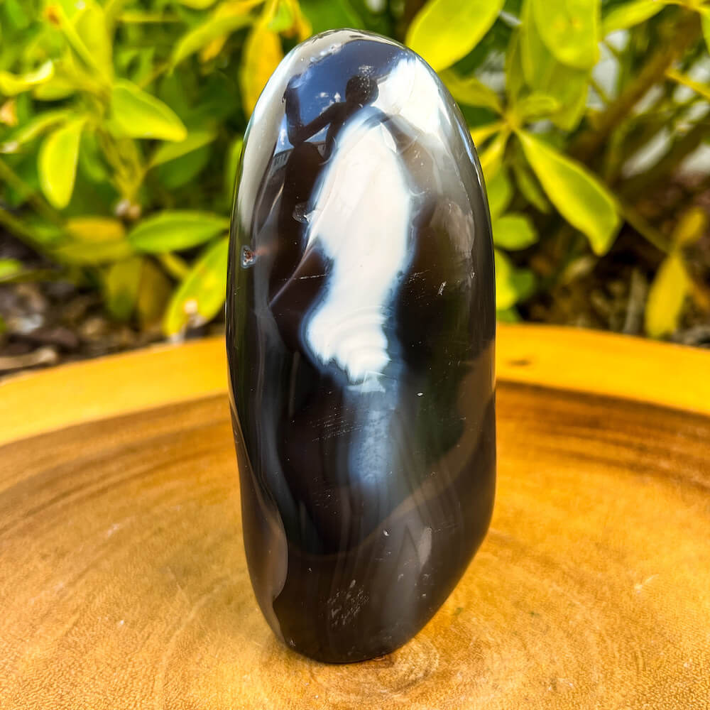Looking for Large Orca Agate stones? Shop at our crystal shop for genuine Orca Agate Freeform - Polished Orca Agate Carving, Orca Agate at Magic Crystals. Natural Orca Agate is a powerful reminder of the ageless spirit by raising the vibration of the physical vehicle. FREE SHIPPING. Orca-Agate-Freeform-D