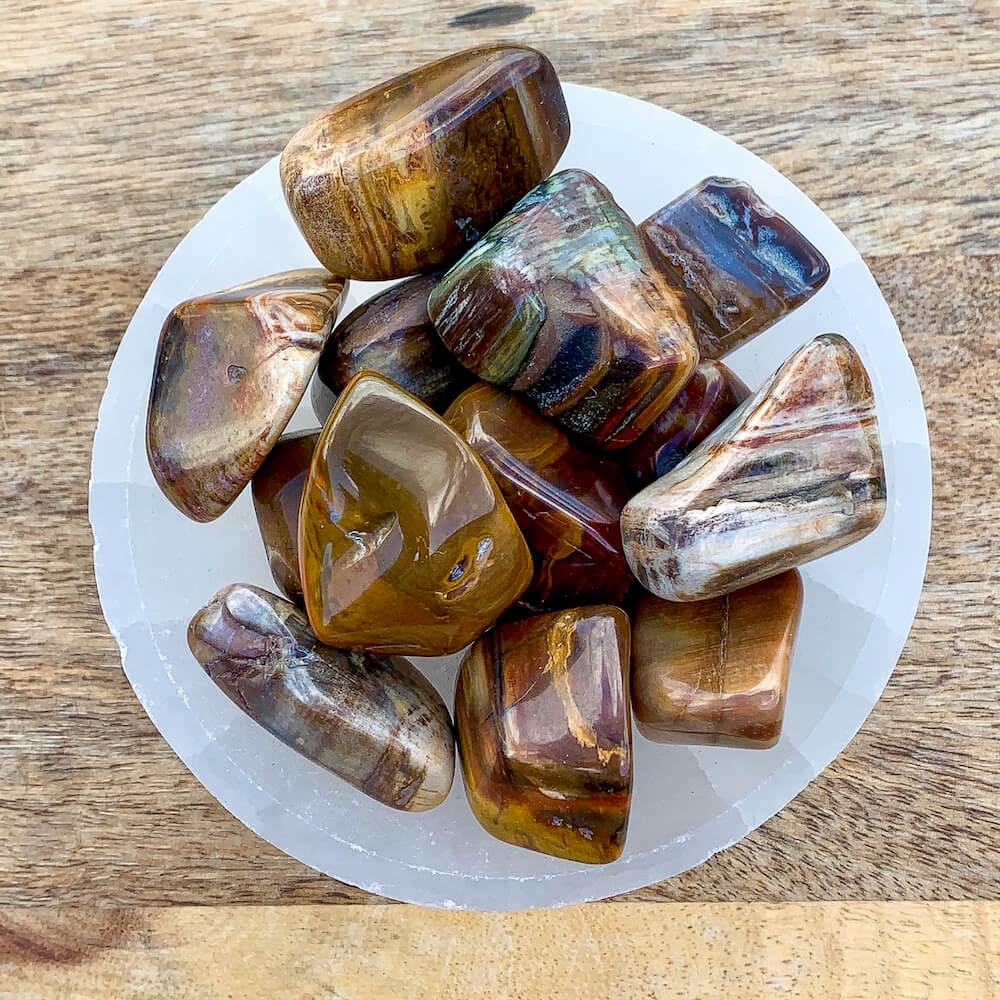 Shop for Tumbled Petrified Wood, Petrified Wood Stone, Fossilized Wood at Magic Crystals. Magiccrystals.com has a wide variety of tumbled stones. Petrified wood is wood literally turned into stone, or fossilized. Over time, silicon dioxide replaces the wood, leaving only quartz. FREE SHIPPING AVAILABLE