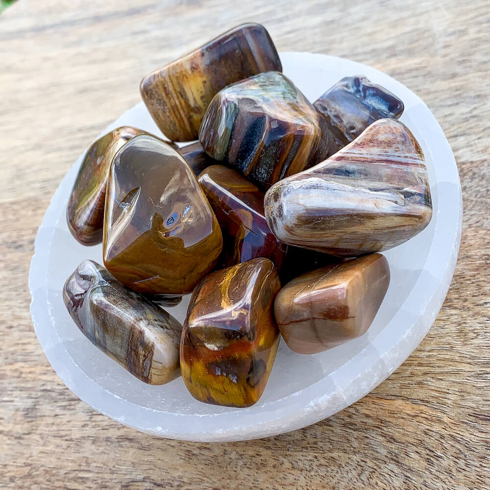 Shop for Tumbled Petrified Wood, Petrified Wood Stone, Fossilized Wood at Magic Crystals. Magiccrystals.com has a wide variety of tumbled stones. Petrified wood is wood literally turned into stone, or fossilized. Over time, silicon dioxide replaces the wood, leaving only quartz. FREE SHIPPING AVAILABLE