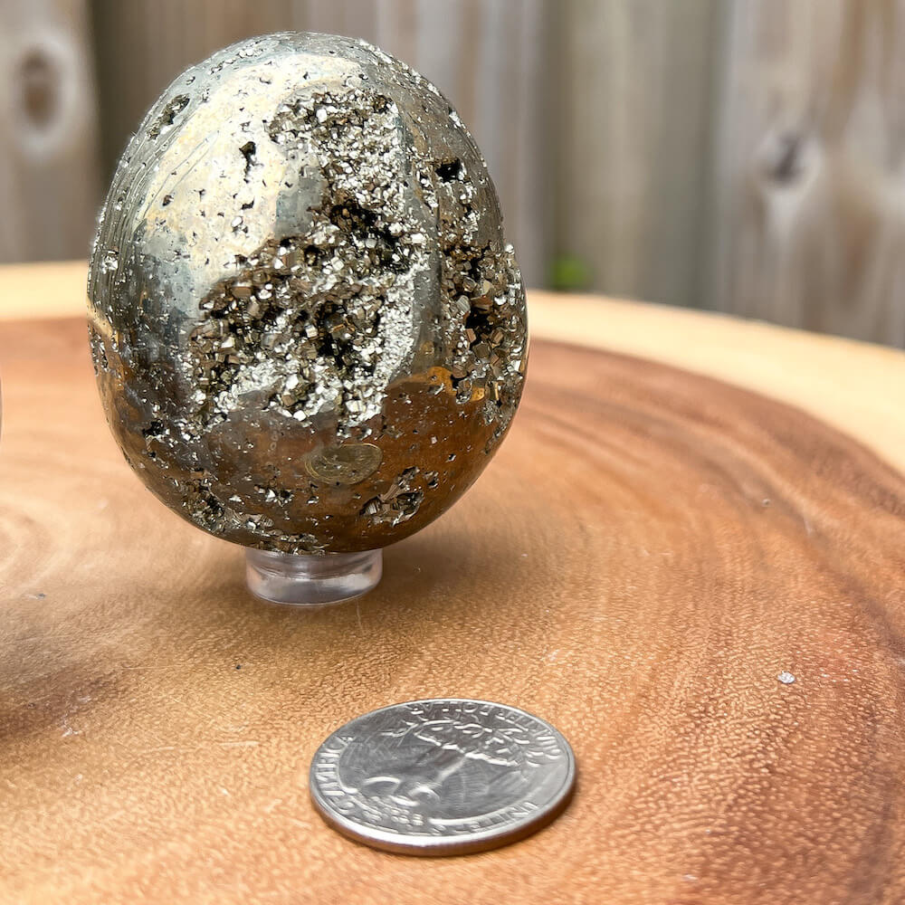 Shop from Magic Crystals One Rough Druzy Pyrite Egg Metal Stand, Egg Pyrite Chunk on Stand, Point on Stand Pin, Fools Gold. Pyrite Egg Protect Stone, Rough Pyrite, Raw Pyrite Egg! Pyrite stone. We carry a wide variety of clear quartz gemstones, Howlite, and quartz specimens. FREE SHIPPING AVAILABLE.