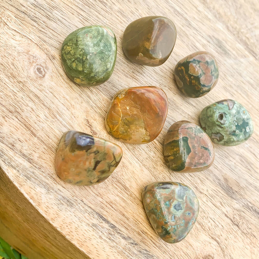 Buy Rainforest Jasper Tumbled Stones, Rainforest Jasper Polished Gemstone, Healing Stone, Bulk Crystals at Magic Crystals. Free shipping available in Magic Crystals. Rainforest Jasper offers a key one's heart connection to nature and one's impulse to work toward planetary healing.