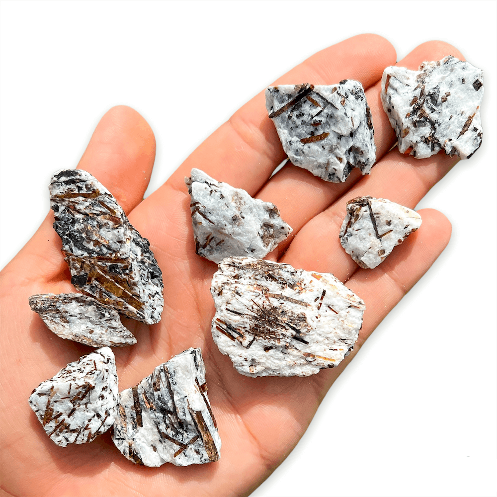 Looking for Astrophyllite? Astrophyllite Crystal, Raw Astrophyllite, Astrophyllite Palm Stone, Astrophyllite Crystals, Astrophyllite Stone at Magic Crystals! These gorgeous Astrophyllite  are from Russia. Enjoy FREE SHIPPING. ONE Astrophyllite stone mineral