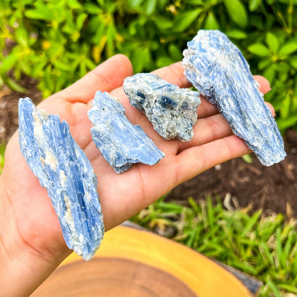 Blue KYANITE - Raw Blue Kyanite Crystal - 1.5" - 3.5" kyanite - healing crystals & stones - protection crystal - blue kyanite - chakra stone - Healing Crystals and Stones - Kyanite Dangle Earrings. Shop for handmade kyanite at Magic Crystals. FREE SHIPPING available. Christmas gift, birthday present.