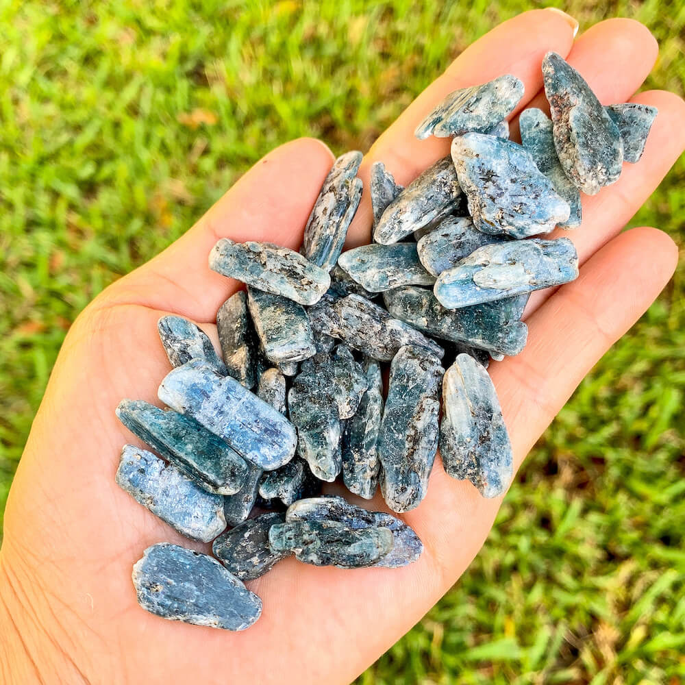 Blue KYANITE  - Raw Blue Kyanite Crystal - 1.5" - 3.5" kyanite - healing crystals & stones - protection crystal - blue kyanite - chakra stone - Healing Crystals and Stones - Kyanite Dangle Earrings.  Shop for handmade kyanite at Magic Crystals.  FREE SHIPPING available. Christmas gift, birthday present.