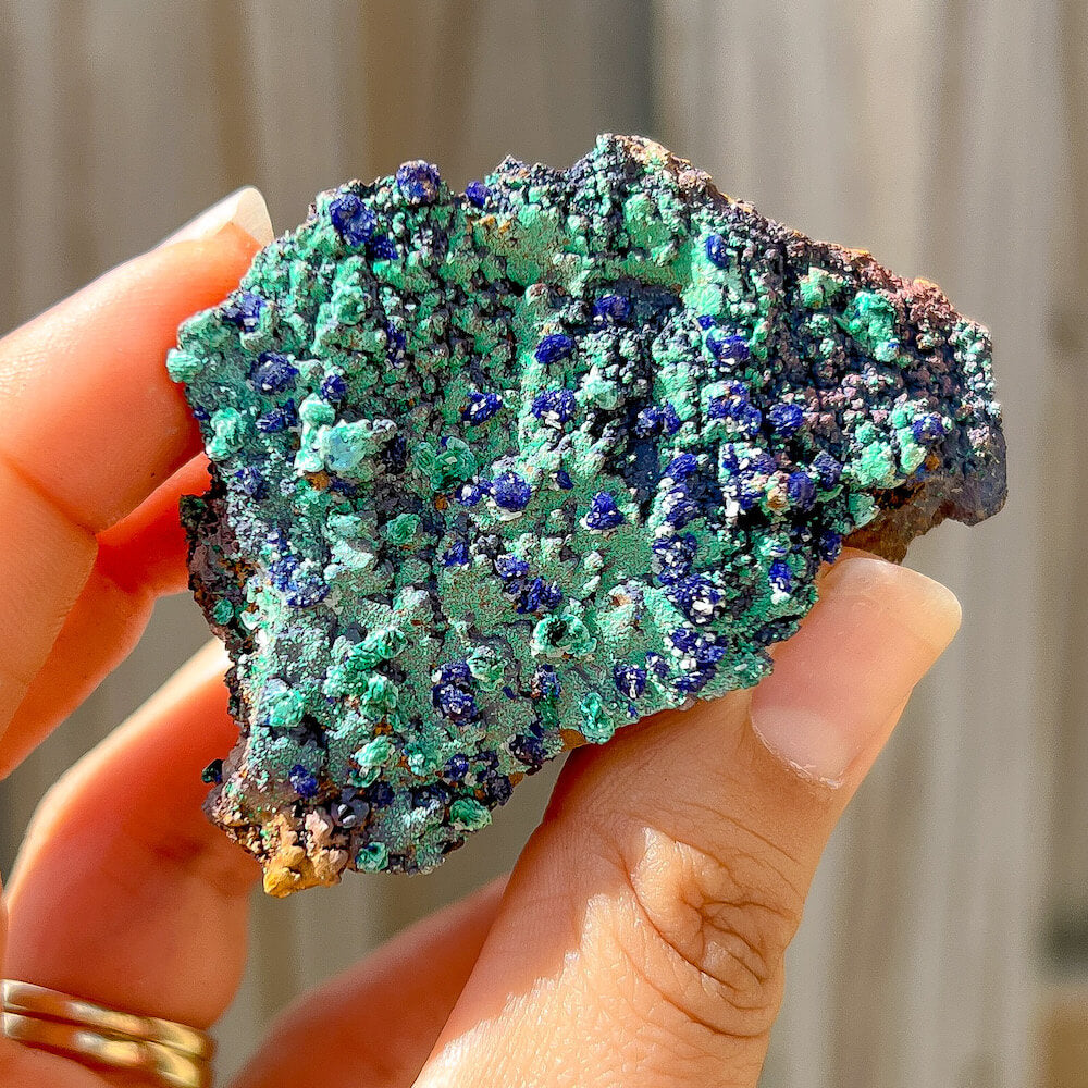 Check out for Raw Azurite on Malachite specimen, Azurite Malachite Stone at Magic Crystals for the very best in unique, Azurite Malachite Unpolished, Azurite Malachite healing stones, Azurite-Malachite, Azurite-Malachite, Rough Azurite on Malachite. unique Malachite with Azurite crystals. Reiki blessed crystal clusters. 