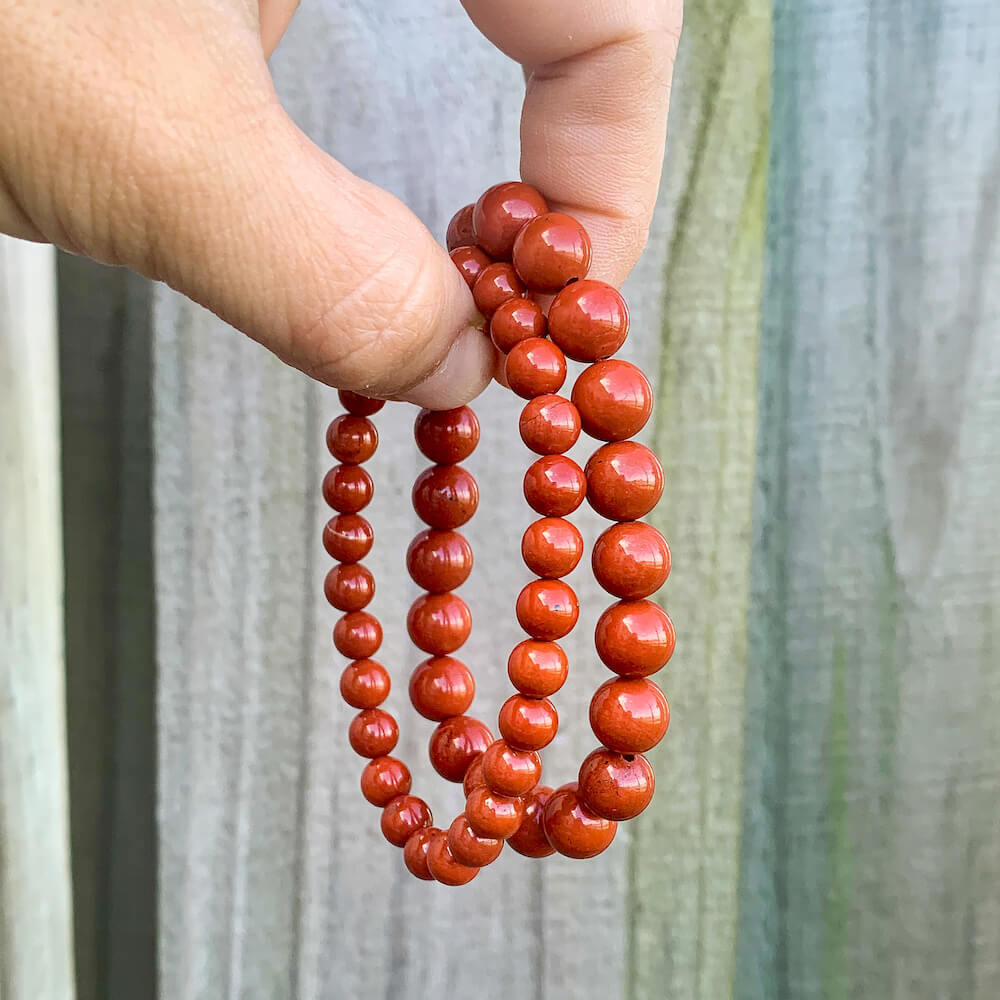 Looking for Red Jasper Jewelry? Shop at Magic Crystals for Red Jasper Beaded Bracelets. Natural Red Jasper Unisex Elastic Bracelet. Red jasper is a stone of physical strength, a vitality that can help with the stabilization of one’s energy. FREE SHIPPING available. Natural Healing Gemstone Buddha Charm Bracelet, red jasper earrings, and rings.