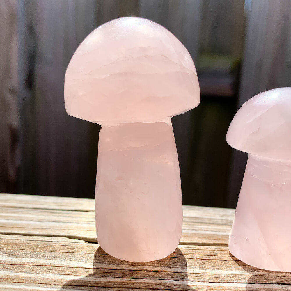   Rose-Quartz-Mushroom. Looking for Crystal Mushroom? Shop Crystal Mushroom Carving, Gemstone Mushroom, Healing Crystal, Crystal Collection, Crystal Gift at Magic Crystals. Natural Crystal mushrooms 2”, carved crystal, mushrooms crystals, medium crystal mushroom for Energy Reiki Point with FREE SHIPPING AVAILABLE.
