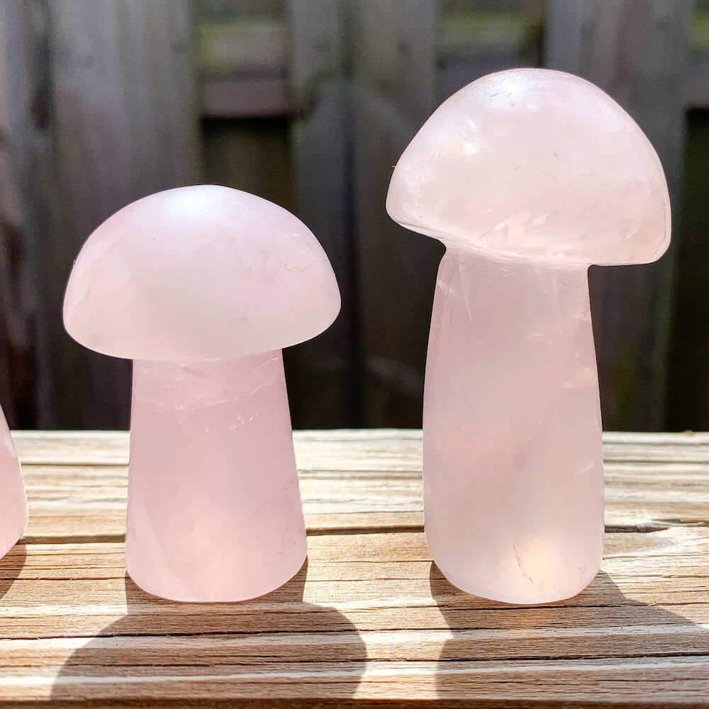    Rose-Quartz-Mushroom. Looking for Crystal Mushroom? Shop Crystal Mushroom Carving, Gemstone Mushroom, Healing Crystal, Crystal Collection, Crystal Gift at Magic Crystals. Natural Crystal mushrooms 2”, carved crystal, mushrooms crystals, medium crystal mushroom for Energy Reiki Point with FREE SHIPPING AVAILABLE.