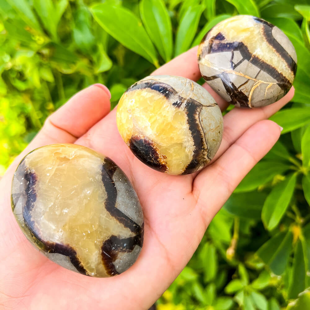 Looking for Crystal Palm Puffy Stone? Shop for Worry Stone, Crystals and palm Stones, Pocket Stone, Natural, Polished at Magic crystals. FREE SHIPPING available. They can also be easily transported or even carried with you as you go about your day. Septarian-Dragon-Crystal-Palm-Stone