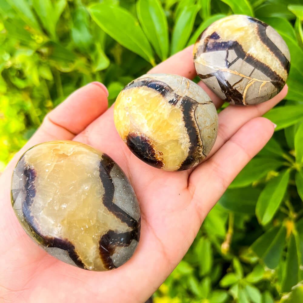 crystal palm plant Healing Crystal Palm Stone for Calm, Balance & Energy