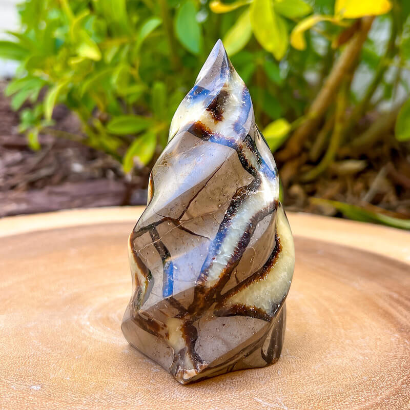 Shop for Madagascar Septarian Flame, Crystal at Magic Crystals. UV Reactive Septarian Stone, Dragon Stone, Calcite & Aragonite For the Root Chakra, Grounding Minerals. Septarian stone has a calming, nurturing energy, and can bring feelings of joy and spiritually uplifting.FREE SHIPPING AVAILABLE