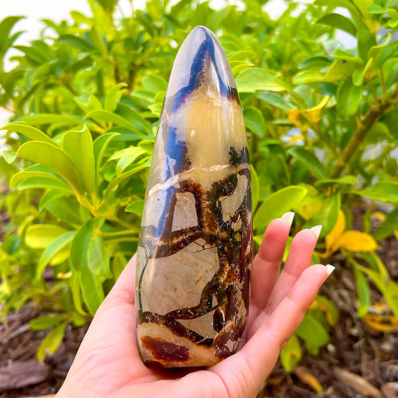 Shop for Madagascar Septarian Free Form, Crystal at Magic Crystals. UV Reactive Septarian Stone, Dragon Stone, Calcite & Aragonite For the Root Chakra, Grounding Minerals. Septarian stone has a calming, nurturing energy, and can bring feelings of joy and spiritually uplifting.FREE SHIPPING AVAILABLE