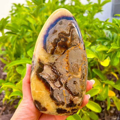 Shop for Madagascar Septarian Free Form, Crystal at Magic Crystals. UV Reactive Septarian Stone, Dragon Stone, Calcite & Aragonite For the Root Chakra, Grounding Minerals. Septarian stone has a calming, nurturing energy, and can bring feelings of joy and spiritually uplifting.FREE SHIPPING AVAILABLE