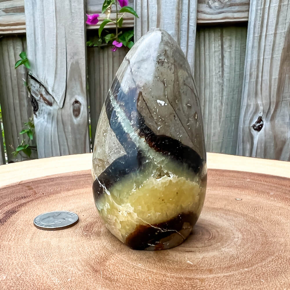 Shop for Madagascar Septarian Free Form A Crystal at Magic Crystals. UV Reactive Septarian Stone, Dragon Stone, Calcite & Aragonite For the Root Chakra, Grounding Minerals. Septarian stone has a calming, nurturing energy, and can bring feelings of joy and spiritually uplifting.FREE SHIPPING AVAILABLE