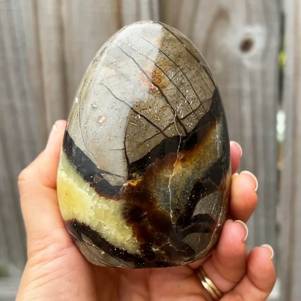 Shop for Madagascar Septarian Free Form A Crystal at Magic Crystals. UV Reactive Septarian Stone, Dragon Stone, Calcite & Aragonite For the Root Chakra, Grounding Minerals. Septarian stone has a calming, nurturing energy, and can bring feelings of joy and spiritually uplifting.FREE SHIPPING AVAILABLE