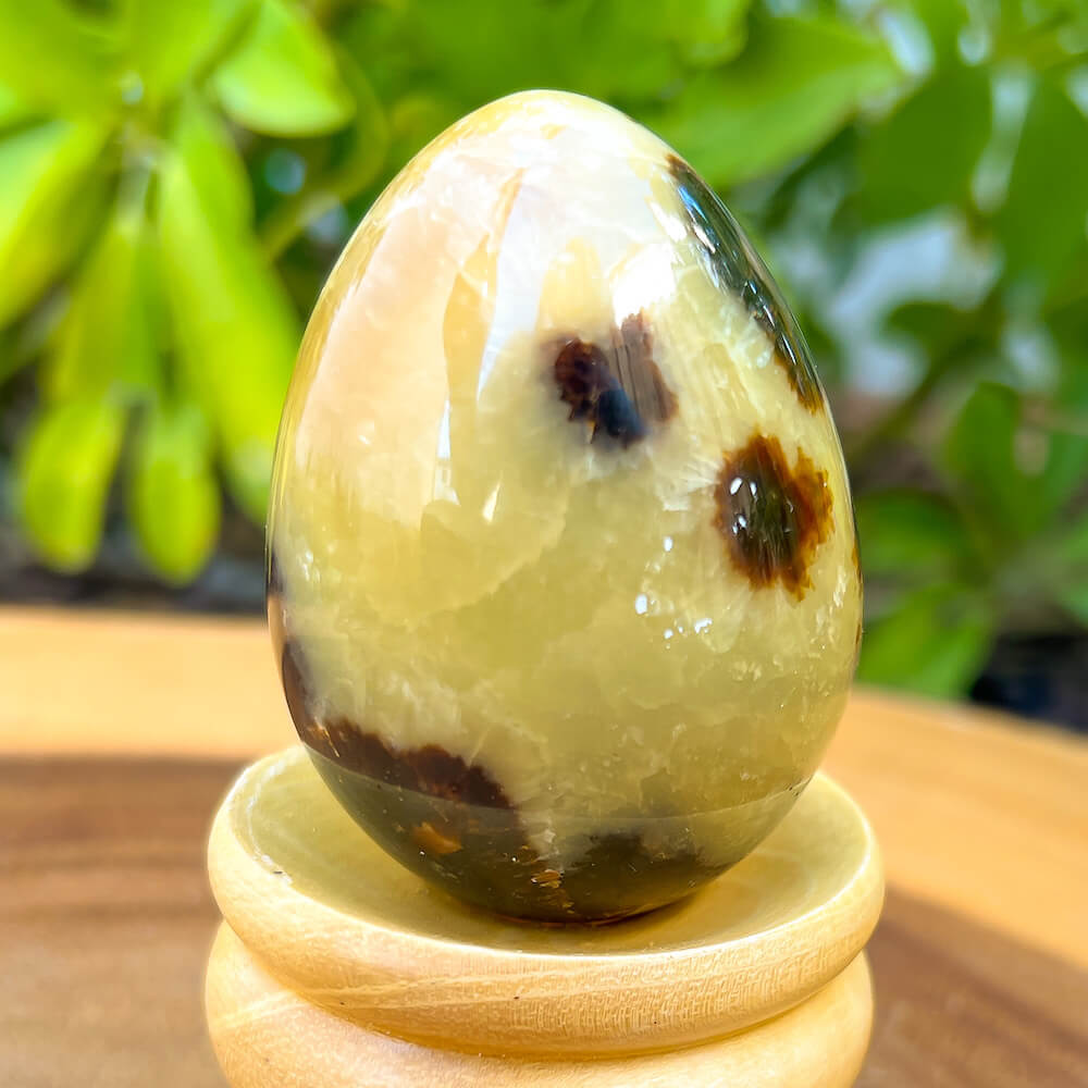 Looking for Septarian Dragon Stone egg? Shop for Septarian Dragon Stone egg, Septarian Dragon Stone egg, Septarian Nodule Crystal egg at Magic Crystals. UV Reactive Septarian Stone, Grounding Minerals. Septarian stone has a calming, nurturing energy, and can bring feelings of joy and spiritually uplifting