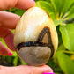 Looking for Septarian Dragon Stone egg? Shop for Septarian Dragon Stone egg, Septarian Dragon Stone egg, Septarian Nodule Crystal egg at Magic Crystals. UV Reactive Septarian Stone, Grounding Minerals. Septarian stone has a calming, nurturing energy, and can bring feelings of joy and spiritually uplifting