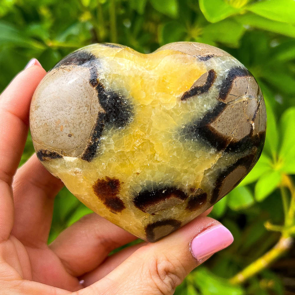 Looking for Septarian Dragon Stone Heart? Shop for Septarian Dragon Stone Heart - A, Septarian Dragon Stone Heart, Septarian Nodule Crystal Ball at Magic Crystals. UV Reactive Septarian Stone, Grounding Minerals. Septarian stone has a calming, nurturing energy, and can bring feelings of joy and spiritually uplifting.    Septarian-Dragon-Stone-Heart-A