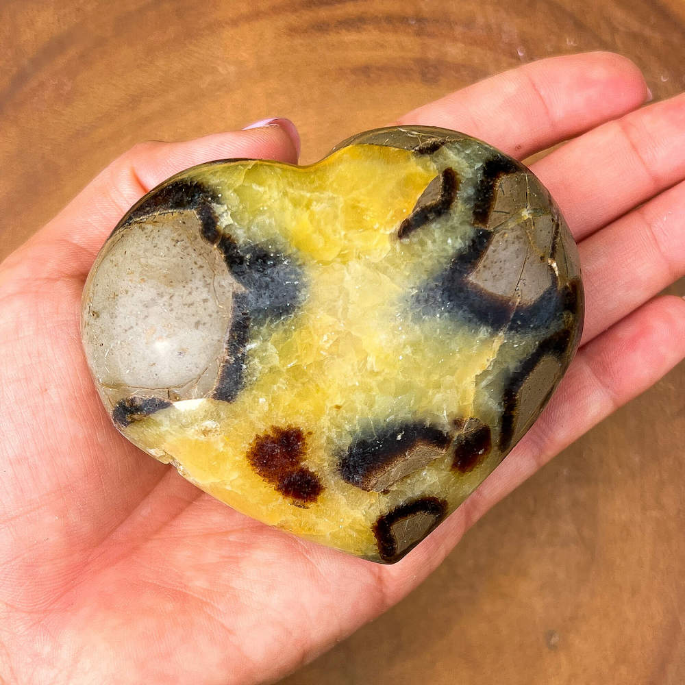 Looking for Septarian Dragon Stone Heart? Shop for Septarian Dragon Stone Heart - A, Septarian Dragon Stone Heart, Septarian Nodule Crystal Ball at Magic Crystals. UV Reactive Septarian Stone, Grounding Minerals. Septarian stone has a calming, nurturing energy, and can bring feelings of joy and spiritually uplifting.    Septarian-Dragon-Stone-Heart-A