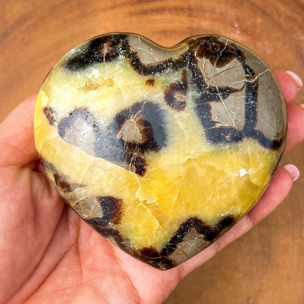 Looking for Septarian Dragon Stone Heart? Shop for Septarian Dragon Stone Heart - A, Septarian Dragon Stone Heart, Septarian Nodule Crystal Ball at Magic Crystals. UV Reactive Septarian Stone, Grounding Minerals. Septarian stone has a calming, nurturing energy, and can bring feelings of joy and spiritually uplifting.    Septarian-Dragon-Stone-Heart-B