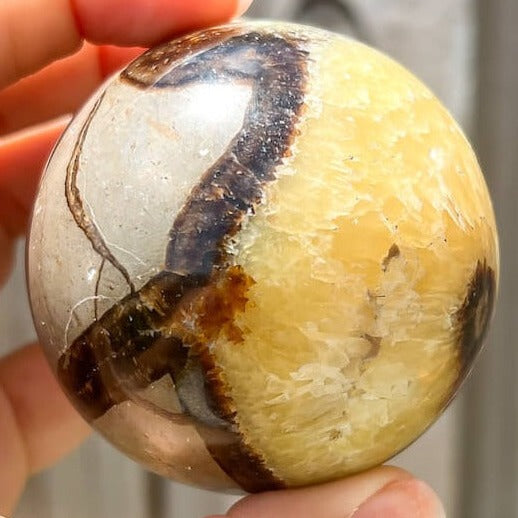 Looking for Septarian Dragon Stone Sphere? Shop for Septarian Dragon Stone Sphere - A, Septarian Dragon Stone Sphere, Septarian Nodule Crystal Ball at Magic Crystals. UV Reactive Septarian Stone, Grounding Minerals. Septarian stone has a calming, nurturing energy, and can bring feelings of joy and spiritually uplifting