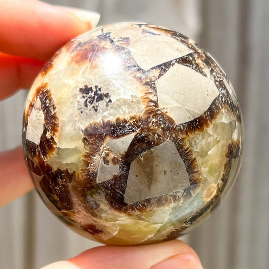 Looking for Septarian Dragon Stone Sphere? Shop for Septarian Dragon Stone Sphere - B, Septarian Dragon Stone Sphere, Septarian Nodule Crystal Ball at Magic Crystals. UV Reactive Septarian Stone, Grounding Minerals. Septarian stone has a calming, nurturing energy, and can bring feelings of joy and spiritually uplifting