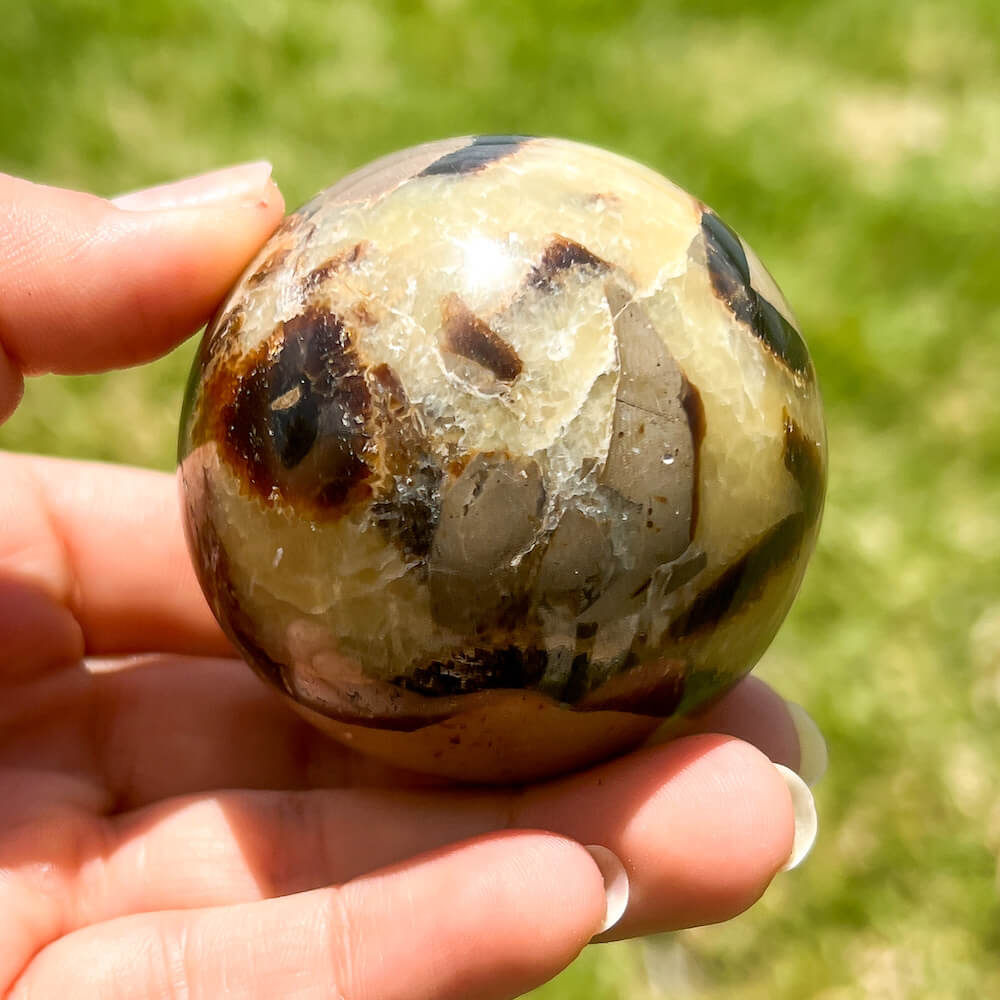 Looking for Septarian Dragon Stone Sphere? Shop for Septarian Dragon Stone Sphere - C, Septarian Dragon Stone Sphere, Septarian Nodule Crystal Ball at Magic Crystals. UV Reactive Septarian Stone, Grounding Minerals. Septarian stone has a calming, nurturing energy, and can bring feelings of joy and spiritually uplifting