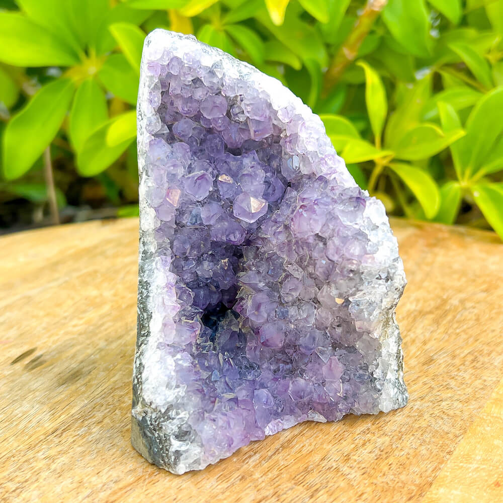 Shop at Magic Crystals for Small Amethyst Polished Geode - Cathedral Amethyst. VERY High Quality. World’s Highest Quality Amethyst Geode, Crystals and Stones, Healing stones. Top Rated Mineral Dealer. Authenticity Certificates. Deep & Rich Hues. Amethyst from Brazil and Uruguay available. Small-Amethyst-Cluster-12