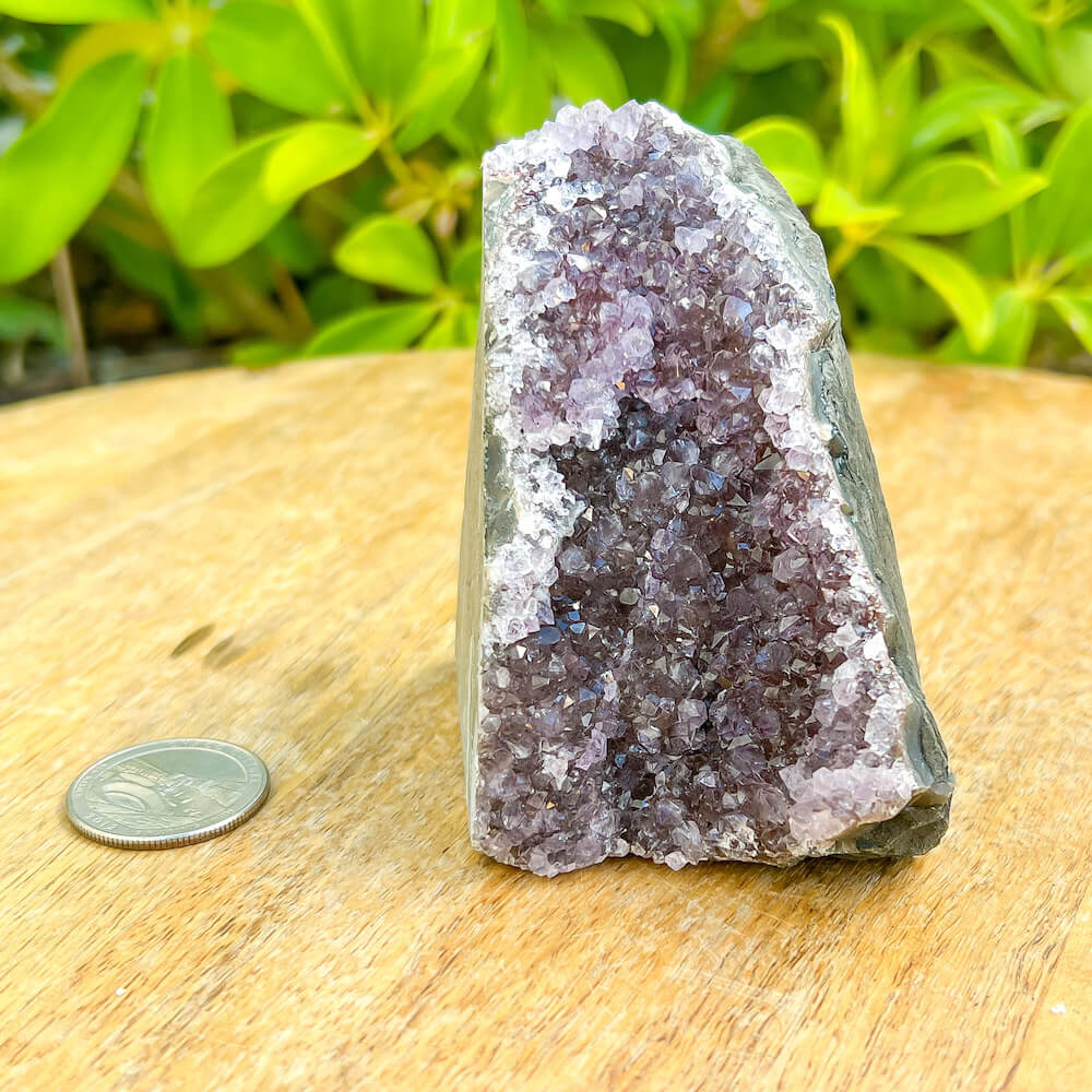 Shop at Magic Crystals for Small Amethyst Polished Geode - Cathedral Amethyst. VERY High Quality. World’s Highest Quality Amethyst Geode, Crystals and Stones, Healing stones. Top Rated Mineral Dealer. Authenticity Certificates. Deep & Rich Hues. Amethyst from Brazil and Uruguay available. Small-Amethyst-Cluster-13