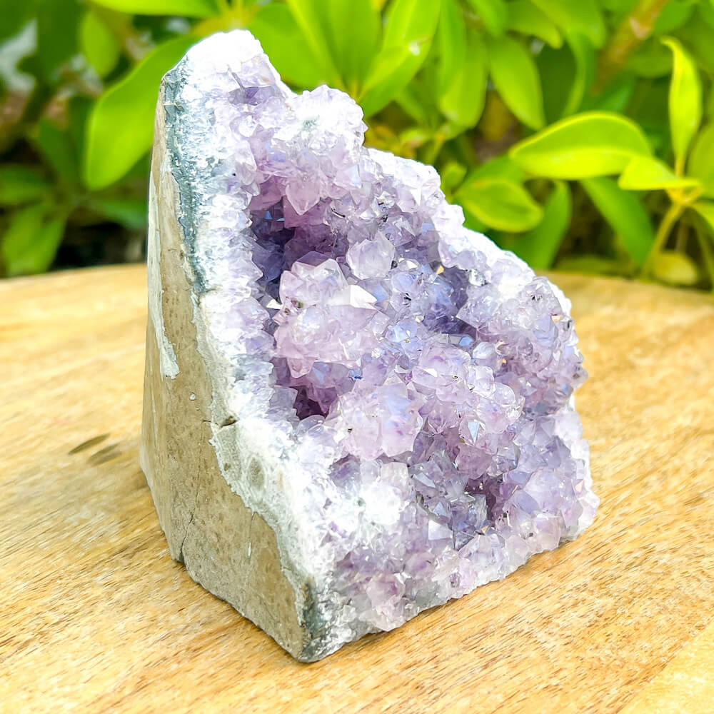 Shop at Magic Crystals for Small Amethyst Polished Geode - Cathedral Amethyst. VERY High Quality. World’s Highest Quality Amethyst Geode, Crystals and Stones, Healing stones. Top Rated Mineral Dealer. Authenticity Certificates. Deep & Rich Hues. Amethyst from Brazil and Uruguay available. Small-Amethyst-Cluster-2.