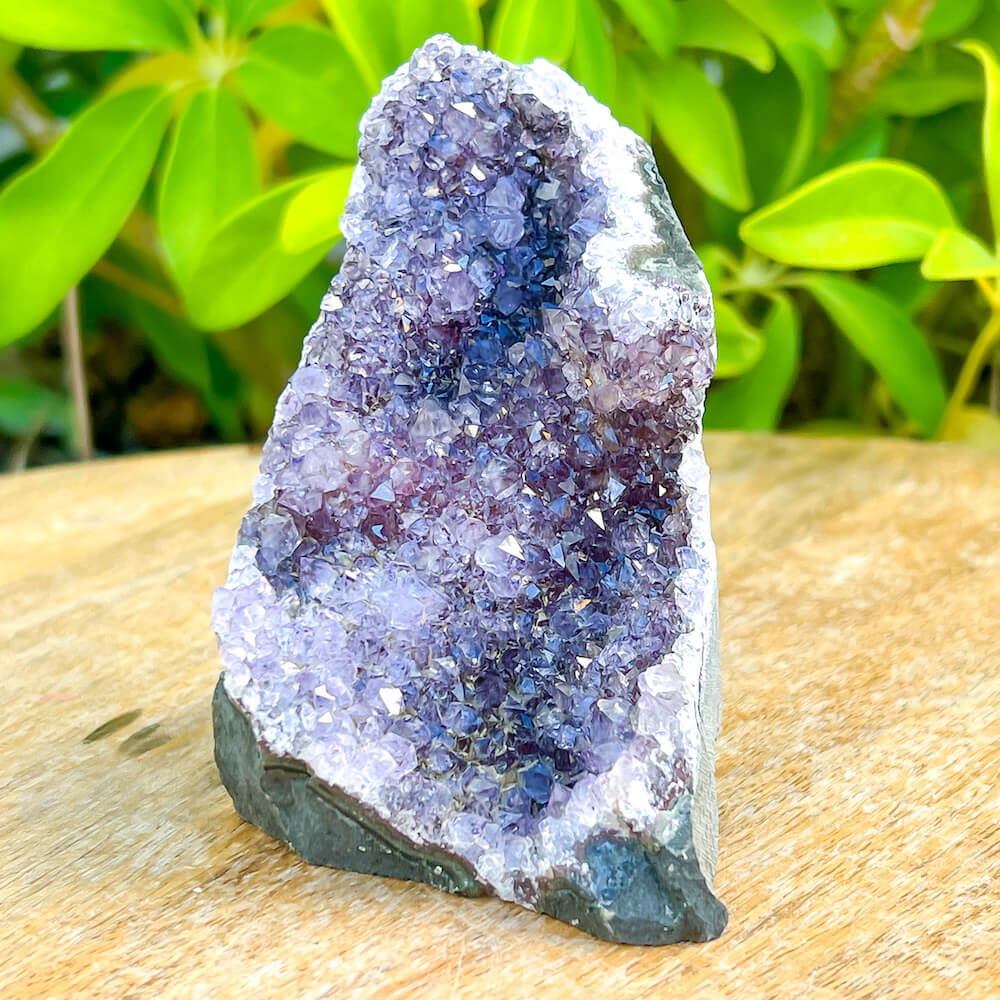 Shop at Magic Crystals for Small Amethyst Polished Geode - Cathedral Amethyst. VERY High Quality. World’s Highest Quality Amethyst Geode, Crystals and Stones, Healing stones. Top Rated Mineral Dealer. Authenticity Certificates. Deep & Rich Hues. Amethyst from Brazil and Uruguay available. Small-Amethyst-Cluster-6.