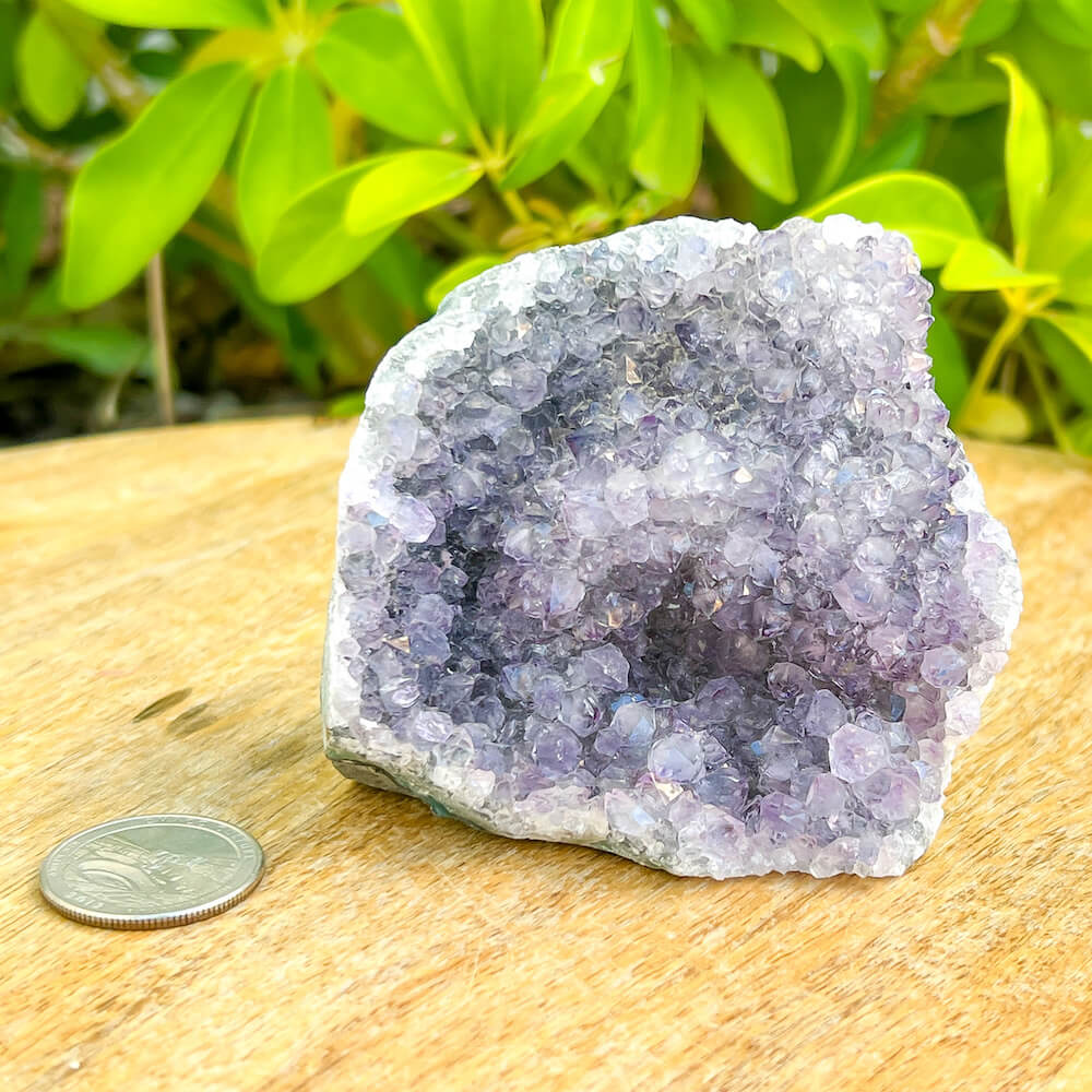 Shop at Magic Crystals for Small Amethyst Polished Geode - Cathedral Amethyst. VERY High Quality. World’s Highest Quality Amethyst Geode, Crystals and Stones, Healing stones. Top Rated Mineral Dealer. Authenticity Certificates. Deep & Rich Hues. Amethyst from Brazil and Uruguay available. Small-Amethyst-Cluster-7.