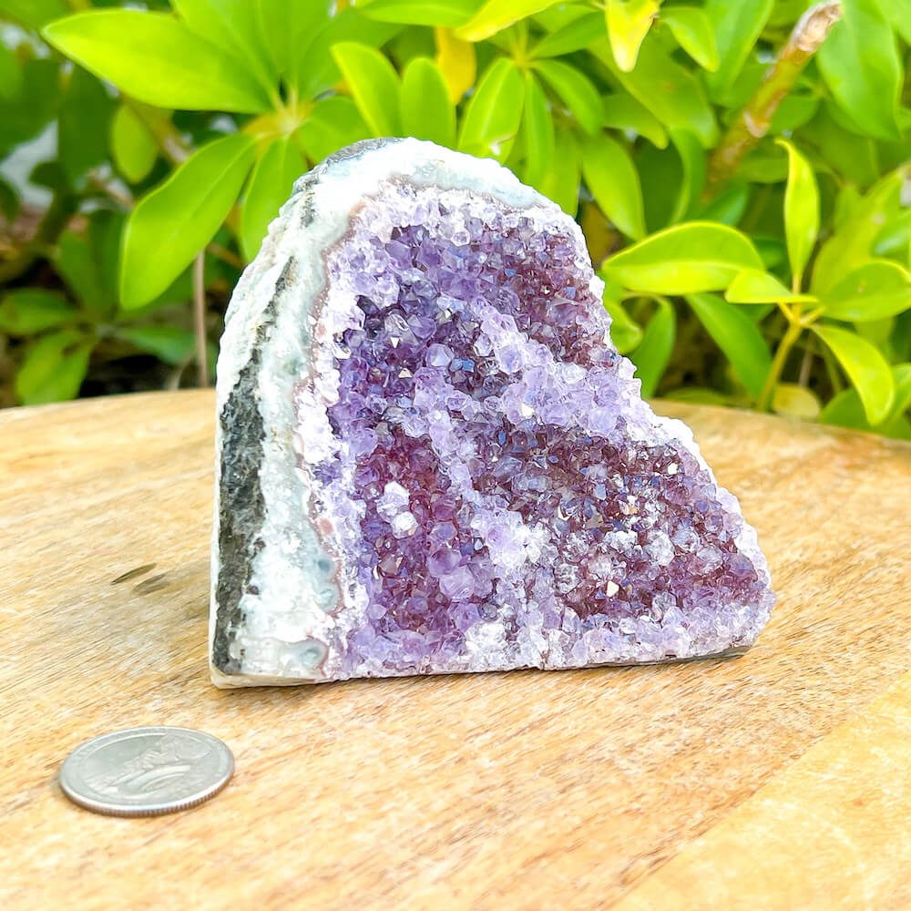 Shop at Magic Crystals for Small Amethyst Polished Geode - Cathedral Amethyst. VERY High Quality. World’s Highest Quality Amethyst Geode, Crystals and Stones, Healing stones. Top Rated Mineral Dealer. Authenticity Certificates. Deep & Rich Hues. Amethyst from Brazil and Uruguay available. Small-Amethyst-Cluster-9
