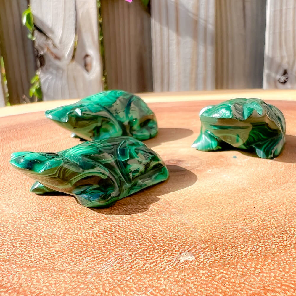 Genuine Small Malachite. Shop at Magic Crystals for Small Genuine Malachite Frog #C - Natural Malachite Frog Carving from Congo. Malachite Animal, Gifts for Her, Gifts for Him, Crystal Gemstones, Home Decor. FREE SHIPPING AVAILABLE. Hand Carved Malachite Stone Frog, Home Decor, Crystal Healing, Mineral Specimen #1.