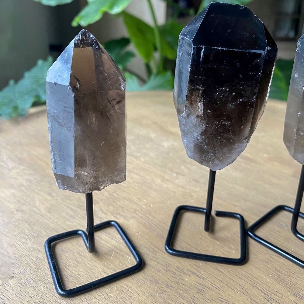 Looking for One Rough Smoky quartz Metal Stand, Smoky quartz on Stand, Point on Stand Pin, Smoky quartz Stone, Rough Smoky quartz, Raw Smoky quartz at Magic Crystals. Find genuine and quality Natural Smoky quartz Gemstone in Magiccrystals.com Christmas gift, birthday present. Valentine's present.