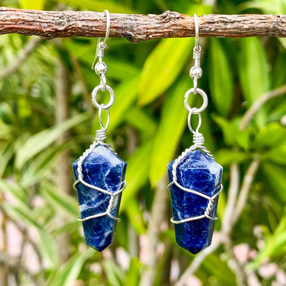 Looking for a Unique Blue Sodalite Earrings? Find Natural Sodalite Earrings, Sodalite Jewelry when you shop at Magic Crystals. Natural Blue Sodalite Crystal Healing Earrings. Called the Stone of Courage and the Stone of Truth. Blue Sodalite Earrings wire wrapped in Silver - Sodalite crystal point Earrings