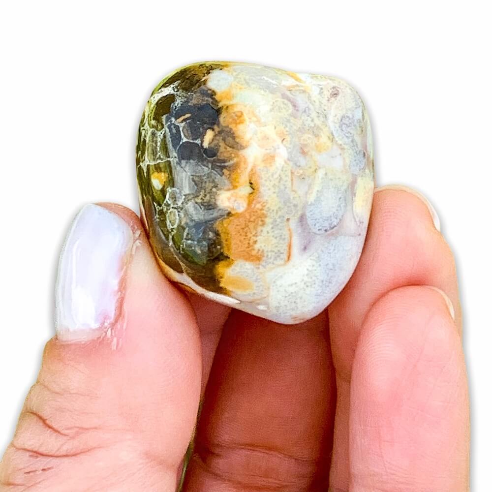 Buy Spotted Agate Tumbled Stones - Choose how many stones, Singles, or Bulk (Tumbled Spotted Agate, Healing Crystals, Third Eye Chakra)  at Magic Crystals. Spotted Agate is a soothing stone. FREE SHIPPING Crystal Gift, Constellation Gift, Gift for Friends, Gift for sister, Gift for Crystals Lovers at Magic Crystals.