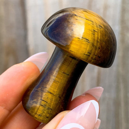 Tiger-Eye--Mushroom. Looking for Crystal Mushroom? Shop Crystal Mushroom Carving, Gemstone Mushroom, Healing Crystal, Crystal Collection, Crystal Gift at Magic Crystals. Natural Crystal mushrooms 2”, carved crystal, mushrooms crystals, medium crystal mushroom for Energy Reiki Point with FREE SHIPPING AVAILABLE.