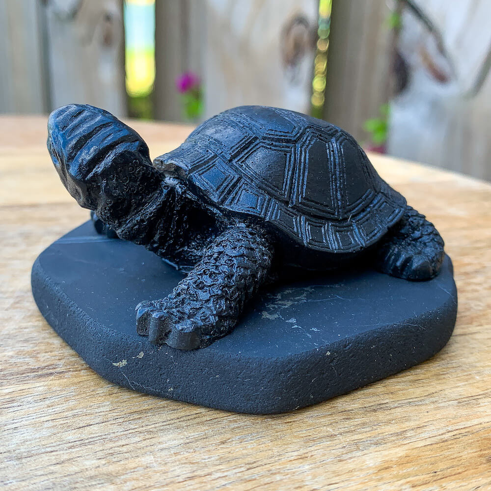 Shop at Magic Crystals for Shungite Turtle, Polished Authentic Karelian Shungite. Chakra Healing Stone, Block EMF's WIFI Radiation 5G at magiccrystals.com . Shop online with FREE SHIPPING AVAILABLE.