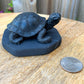 Shop at Magic Crystals for Shungite Turtle, Polished Authentic Karelian Shungite. Chakra Healing Stone, Block EMF's WIFI Radiation 5G at magiccrystals.com . Shop online with FREE SHIPPING AVAILABLE.