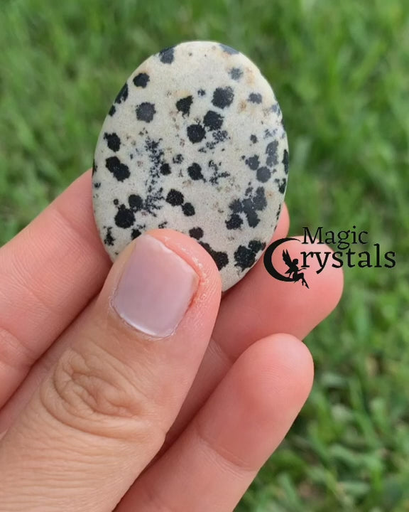 Dalmatian-Jasper-Palm-Stone. Natural Gemstone Palm Stone.Looking for Natural Gemstone Palm Stone - Worry Meditation Stones? Shop at magiccrystals.com . Magic Crystals carries Palmstones - Meditation Stones with FREE SHIPPING AVAILABLE. Empathetic, supporting and glowing with soft, pretty color, this Jade palm stone is a wonderful crystal gift for someone you love. 